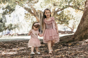 Clara Ballerina dress . Pink