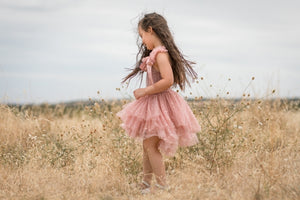 Clara Ballerina dress . Pink