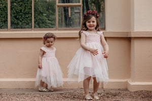 Aurora Fairy dress. pale pink