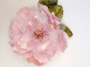 Cabbage Rose Pink