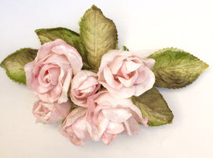 Rose Posy. English Rose Posy.