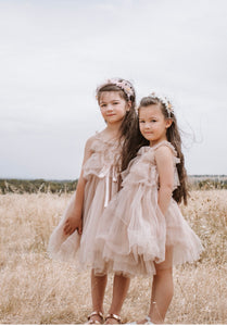 Fairy Floss Tulle Dress . Champagne