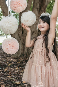 Twinkle Twinkle Little Star Dress,  Rose Gold.