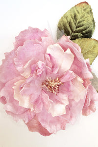 Cabbage Rose Pink